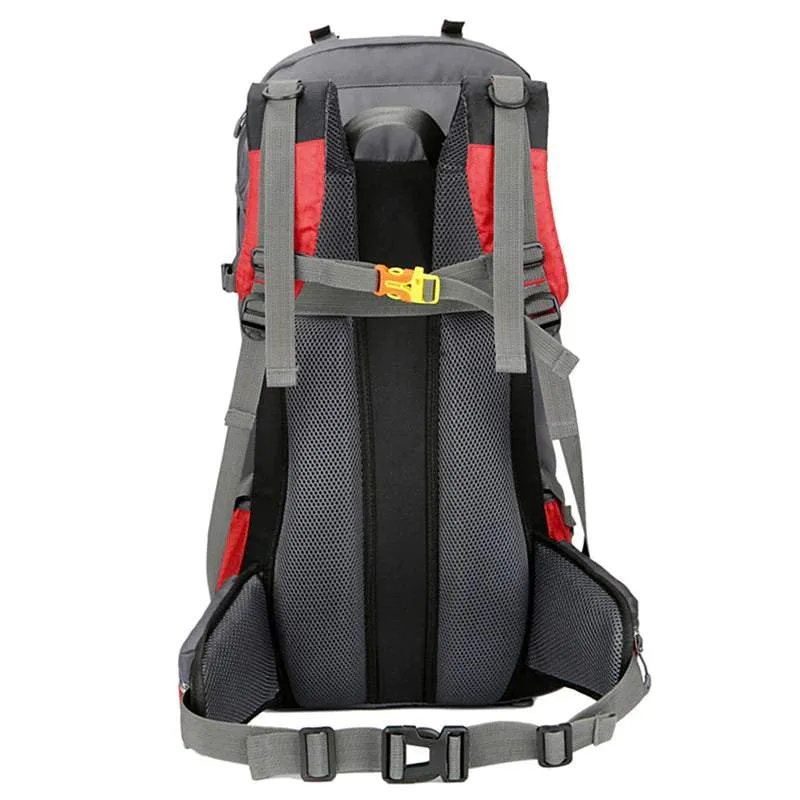 Compact & Capacious Hiking Backpack