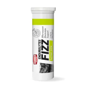 ENDUROLYTES FIZZ